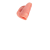 火腿